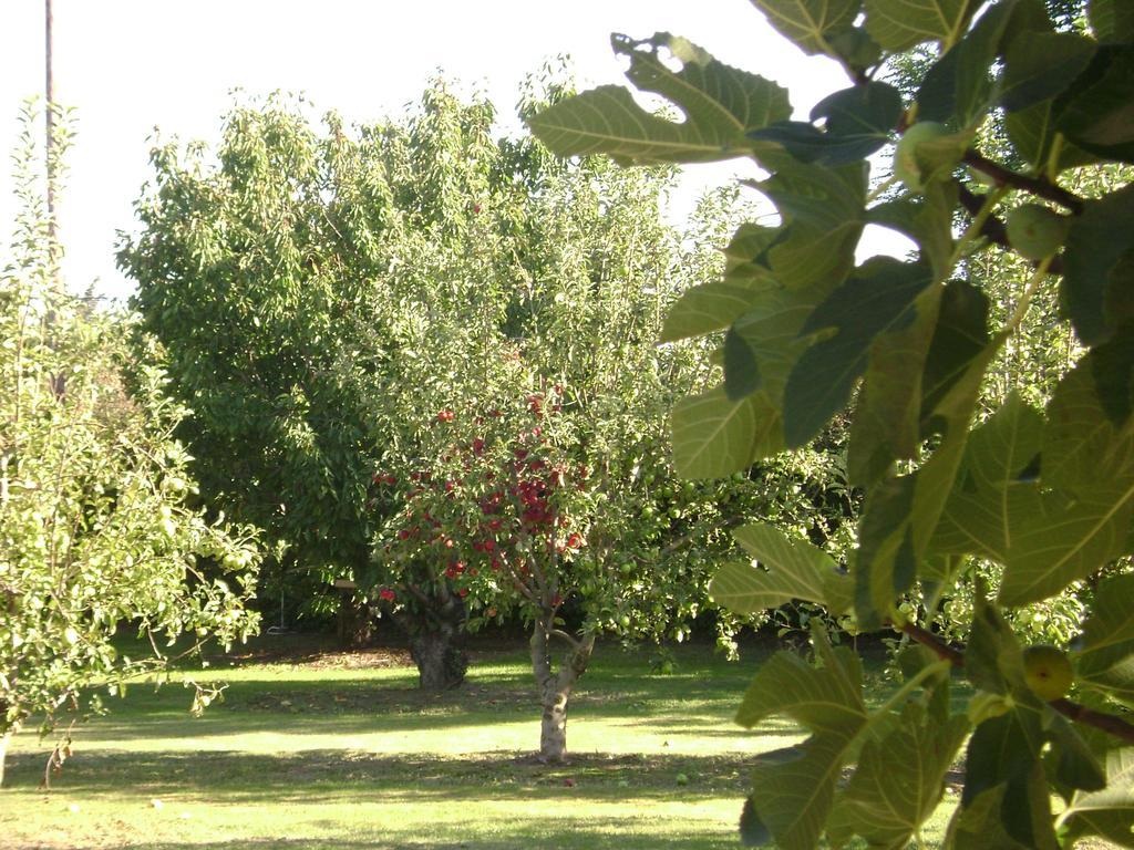 Gite La Gourmandine Saint-Andiol エクステリア 写真